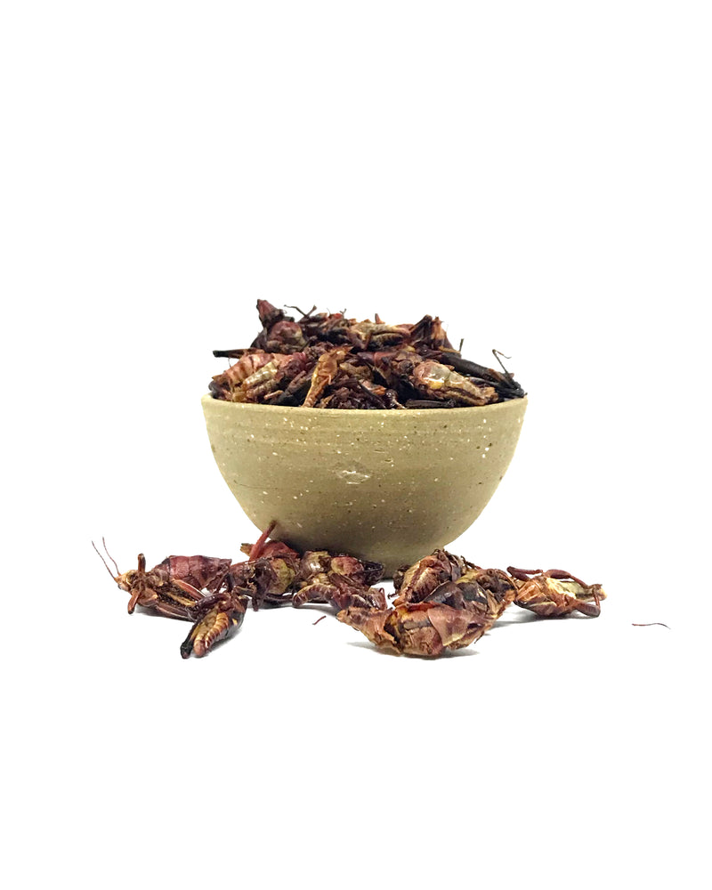 Chapulines XKG